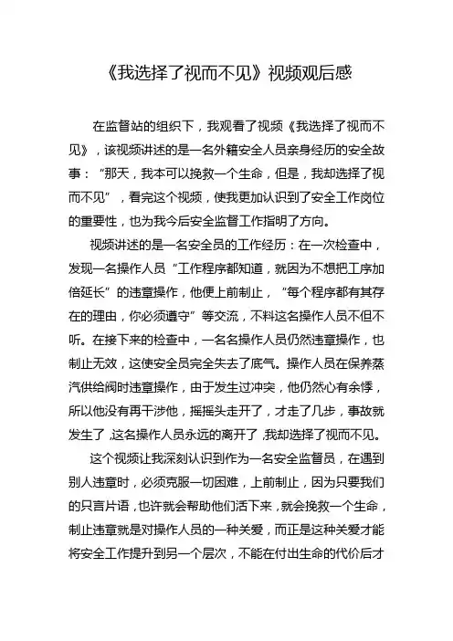 《我选择了视而不见》视频观后感