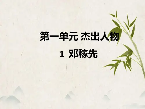 《邓稼先》ppt课件