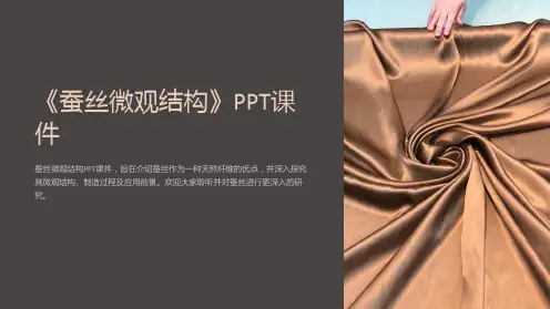 《蚕丝微观结构》课件