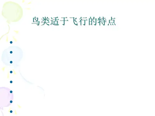 鸟类适于飞行的特点PPT课件