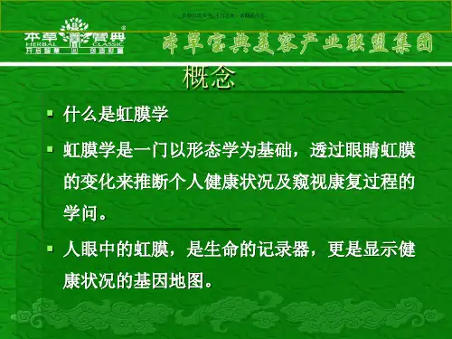 初级虹膜培训