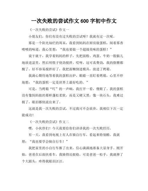 一次失败的尝试作文600字初中作文