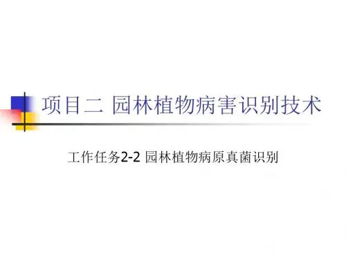 工作任务2-2园林植物病原真菌识别续