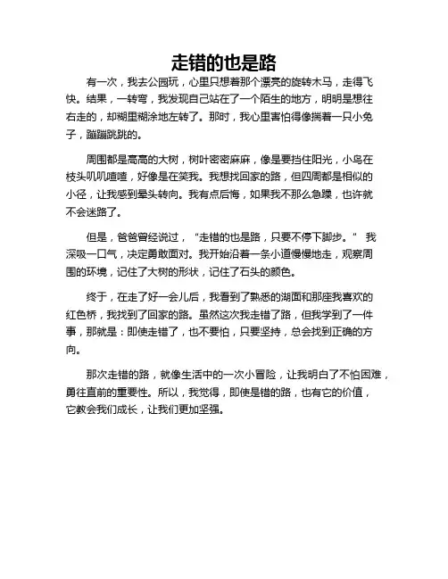 走错的也是路