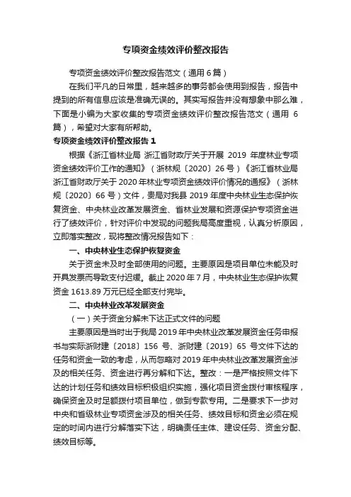 专项资金绩效评价整改报告范文（通用6篇）