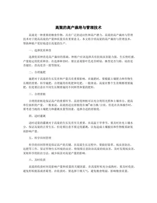 高粱的高产栽培与管理技术