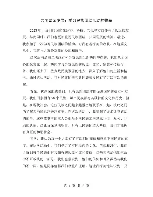 共同繁荣发展：学习民族团结活动的收获