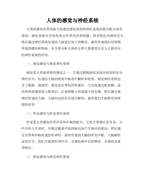 人体的感觉与神经系统