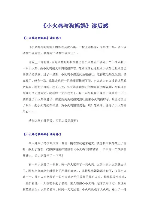 《小火鸡与狗妈妈》读后感
