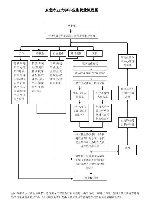 东北农业大学毕业生就业流程图