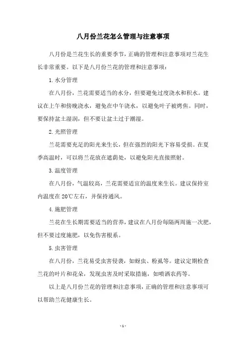 八月份兰花怎么管理与注意事项