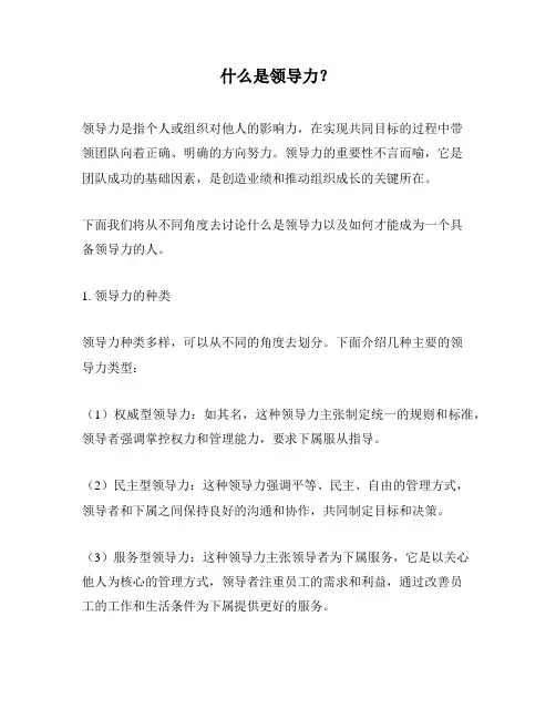 什么是领导力？
