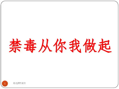 国际禁毒日主题ppt课件