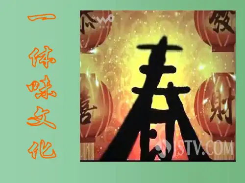 高中政治 第一课 第一框 体味文化课件 新人教版必修3