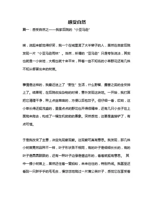 作文《感受自然》