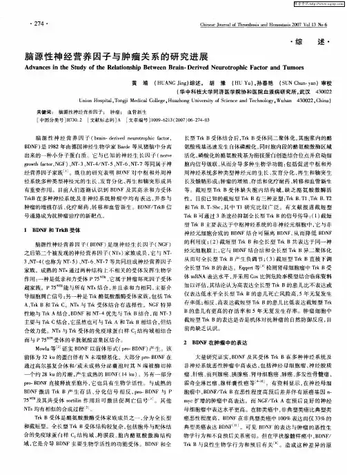 脑源性神经营养因子与肿瘤关系的研究进展