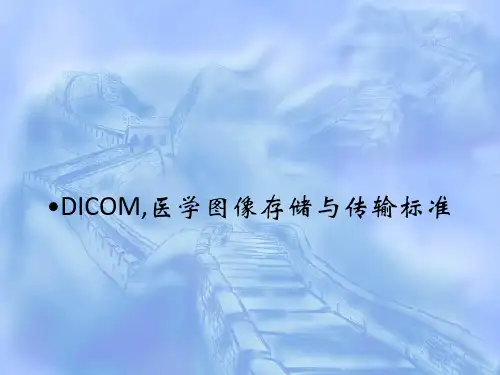 DICOM,医学图像存储与传输标准PPT课件