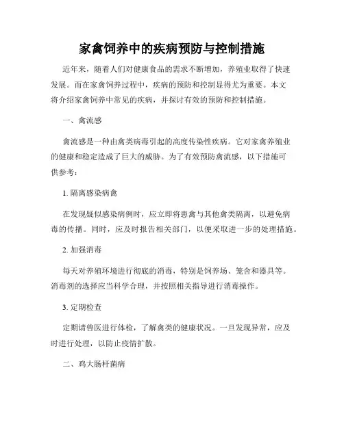 家禽饲养中的疾病预防与控制措施