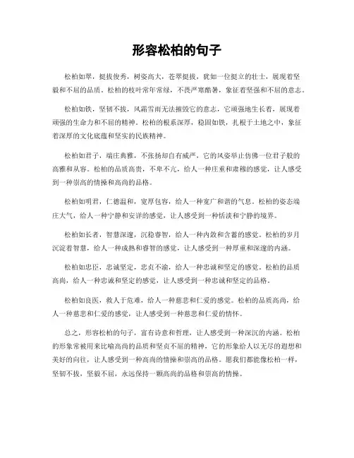 形容松柏的句子