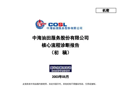 流程诊断报告