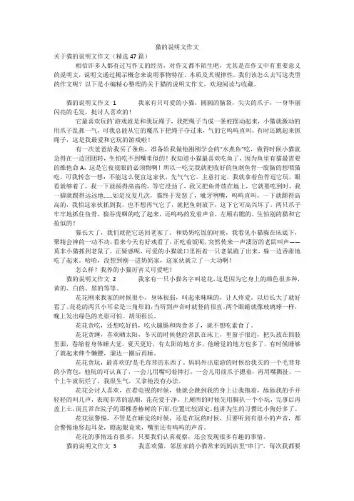猫的说明文作文