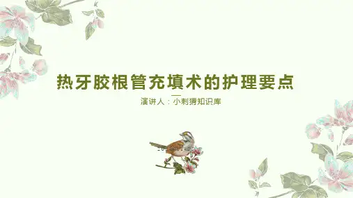 热牙胶根管充填术的护理要点