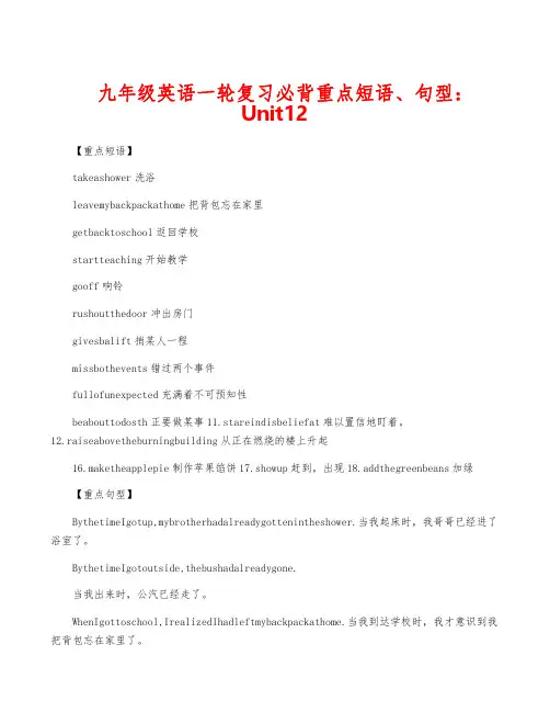 九年级英语一轮复习必背重点短语、句型：Unit12