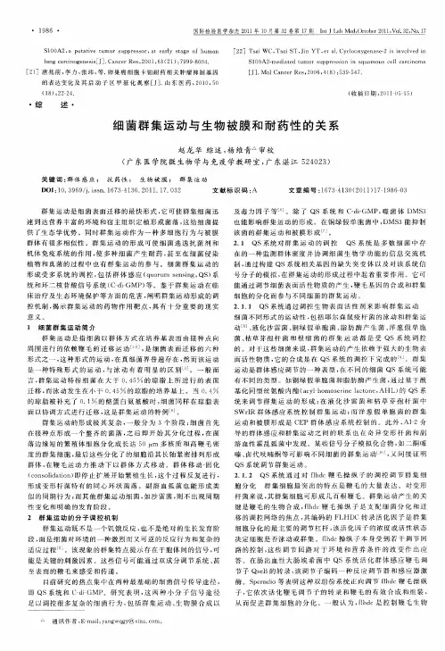 细菌群集运动与生物被膜和耐药性的关系