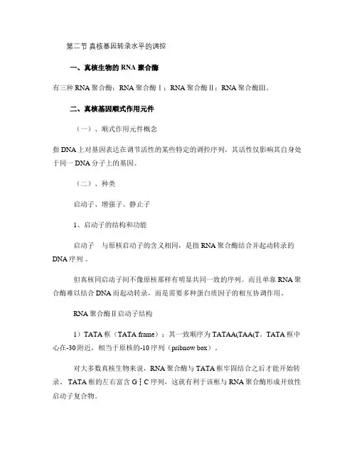 第二节真核基因转录水平的调控(精)