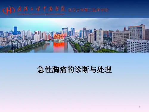 急性胸痛的鉴别及处理PPT课件