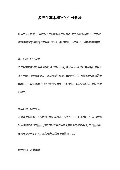 多年生草本植物的生长阶段
