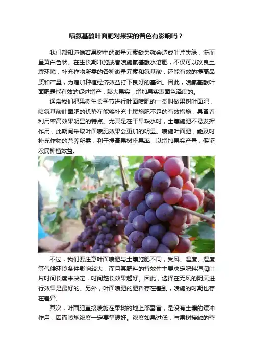 喷氨基酸叶面肥对果实的着色有影响吗？