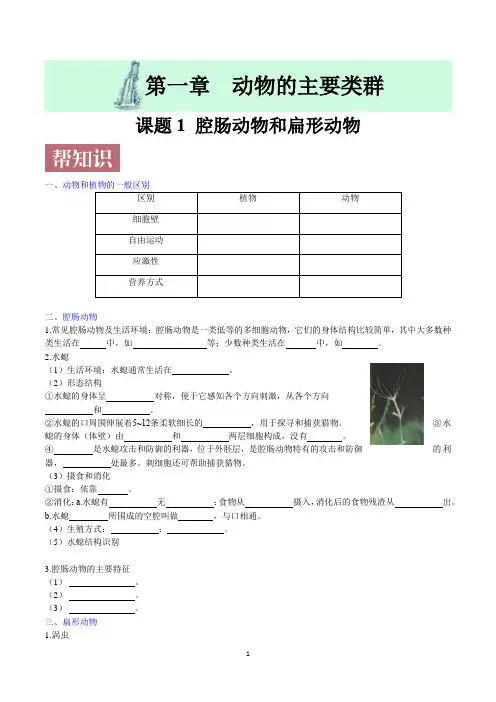 初中人教版生物八年级上册腔肠动物与扁形动物讲解与练习
