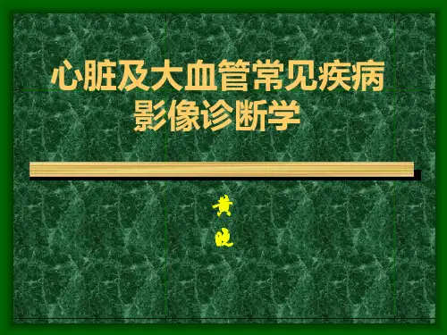 循环系统常见疾病影像诊断学