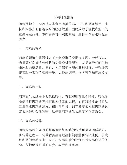 肉鸡研究报告