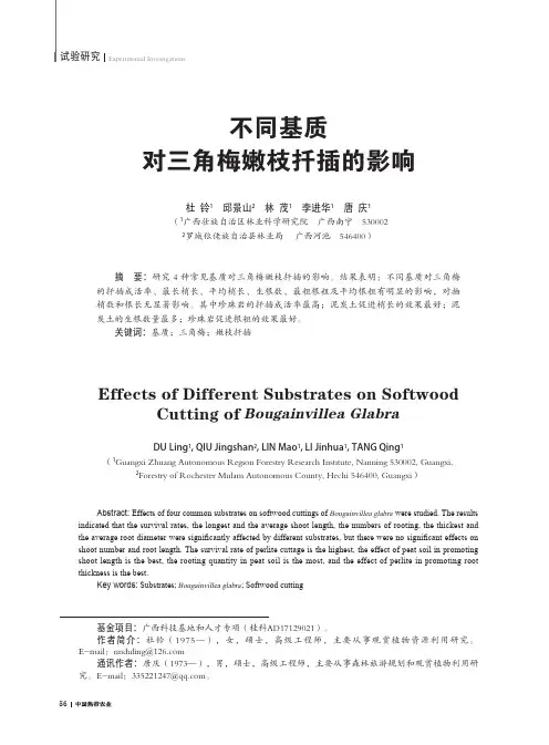 不同基质对三角梅嫩枝扦插的影响