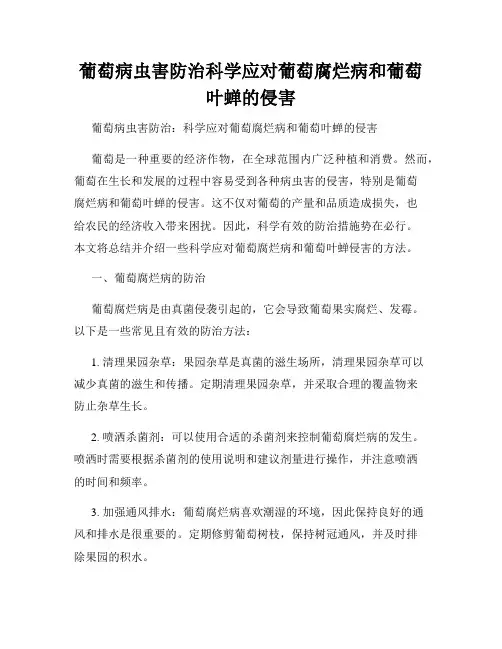 葡萄病虫害防治科学应对葡萄腐烂病和葡萄叶蝉的侵害