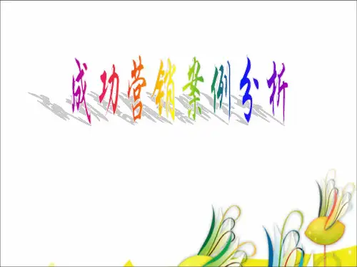 成功营销案例分析PPT课件