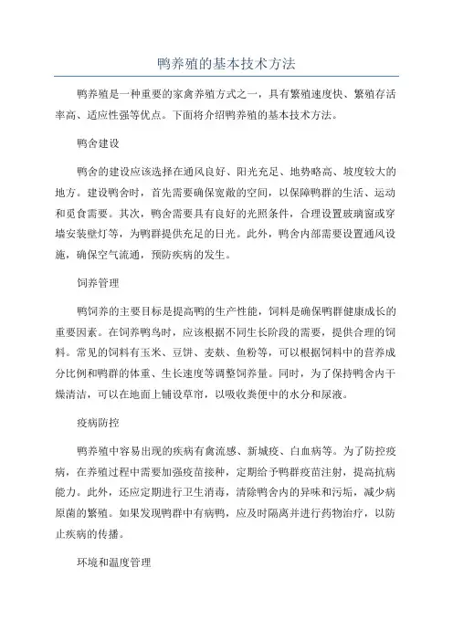 鸭养殖的基本技术方法