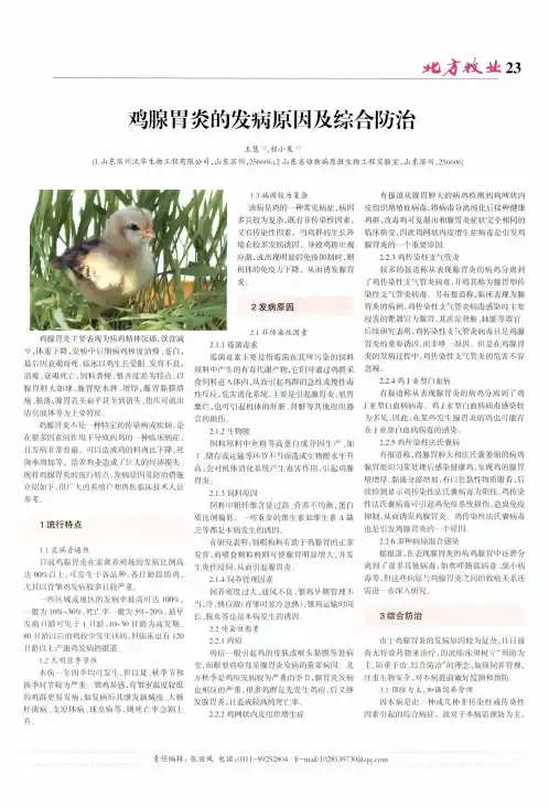 鸡腺胃炎的发病原因及综合防治