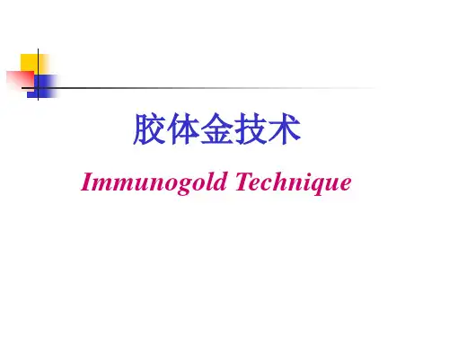 免疫胶体金技术及应用