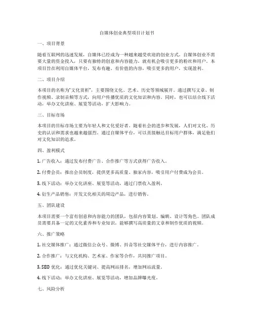 自媒体创业典型项目计划书