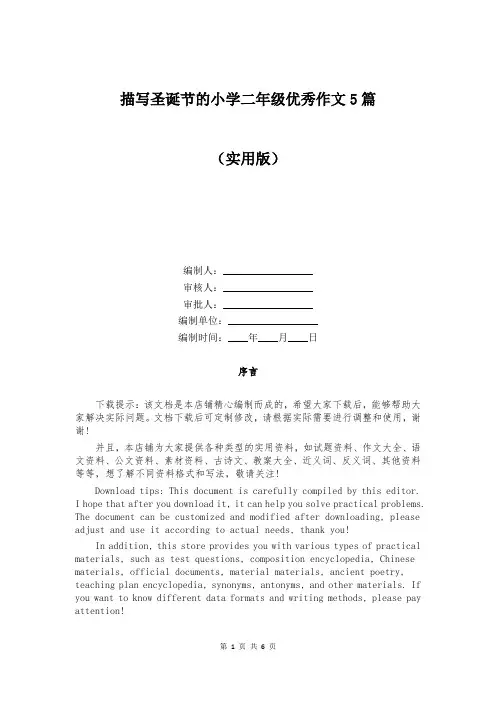 描写圣诞节的小学二年级优秀作文5篇