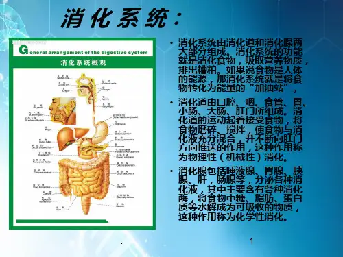 糖尿病并发症-ppt课件