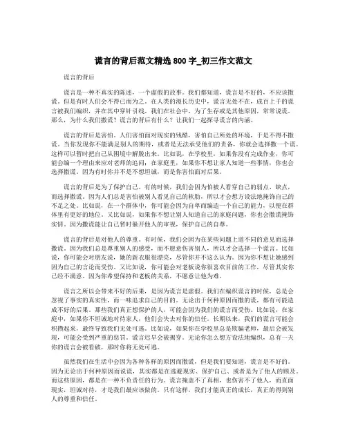谎言的背后范文精选800字_初三作文范文