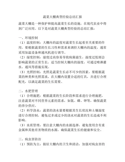 蔬菜大棚典型经验总结汇报