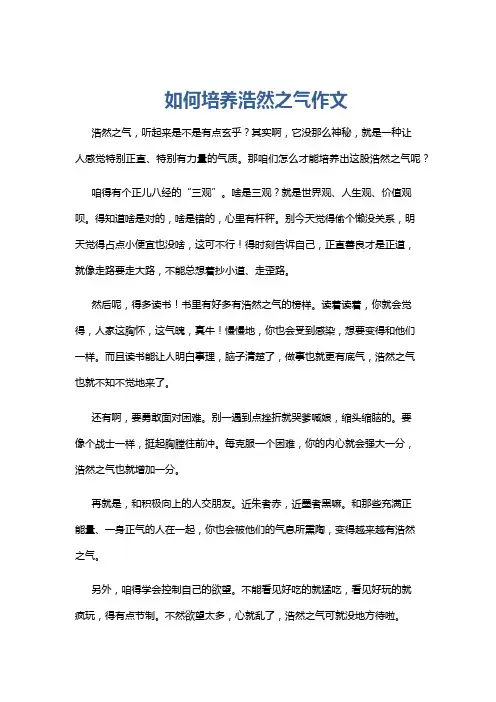 如何培养浩然之气作文
