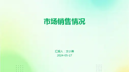 市场销售情况.pptx