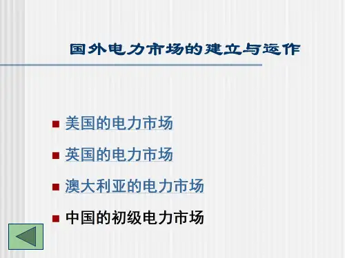 电力市场讲义(国际电力市场)