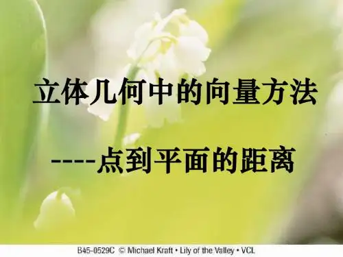 3.2立体几何中的向量方法：点到平面的距离
